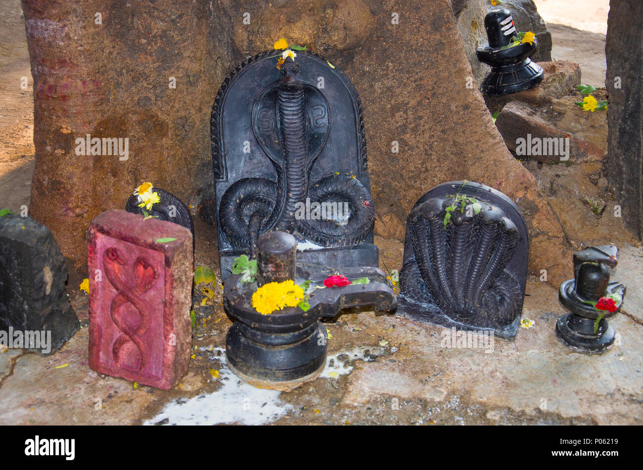 Pietra Nera idoli, Kapileshwar tempio, Belgavi, Karnataka Foto Stock