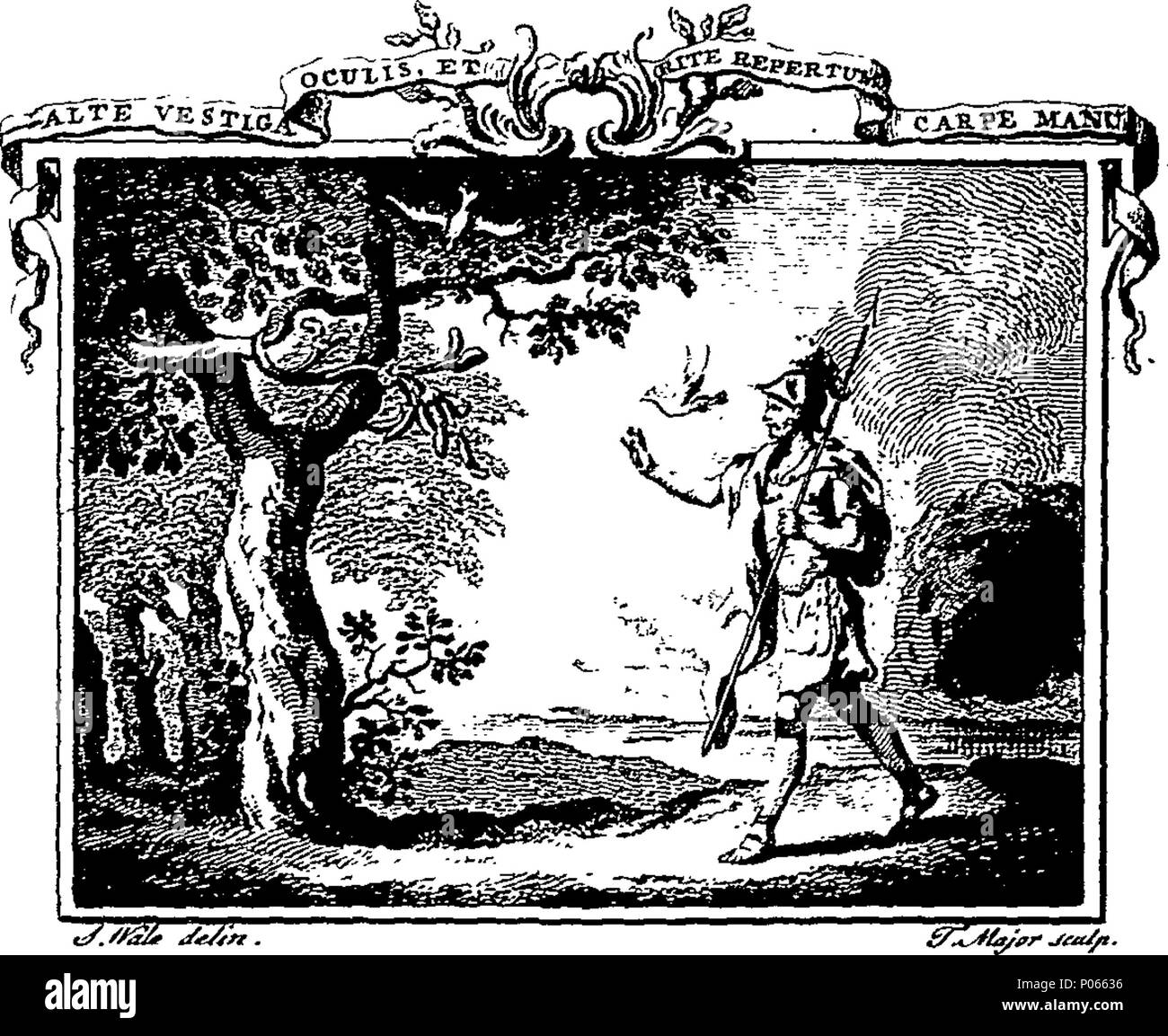 . Inglese: Fleuron dal libro: un discorso di inoculazione, leggere prima della Reale Accademia delle Scienze di Parigi, del 24 aprile 1754. Dal Sig. La Condamine. Cavaliere dell'Ordine Militare di San Lazzaro. Fellow della Royal Society e membro della Reale Accademia delle Scienze a Parigi e a Berlino. 93 un discorso di inoculazione, leggere prima della Reale Accademia delle Scienze di Parigi, del 24 aprile 1754 Fleuron T001338-3 Foto Stock