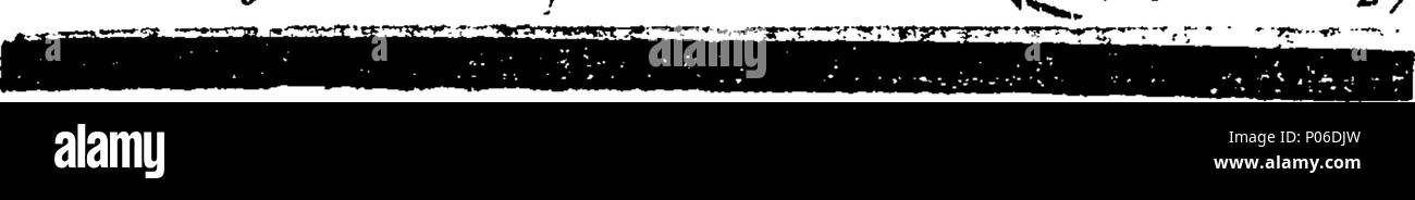 . Inglese: Fleuron dal libro: un funerale sermone predicare'd in Bartholomew-Close, Luglio 25th, 1708. Occasione'd dalla morte della sig.ra Elizabeth Quick, (relitto del Reverendo Sig. Giovanni rapido) che uscirono da questa vita il giorno 19 dello stesso mese. Da Thomas Freke. 102 un funerale sermone predicare'd in Bartholomew-Close, Luglio 25th, 1708 Fleuron T082121-16 Foto Stock