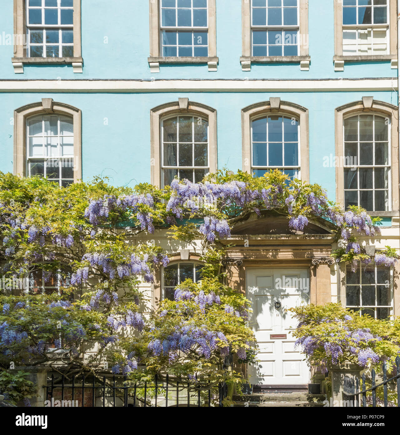 Il Glicine coperto case in Hotwells, Bristol, Regno Unito Foto Stock