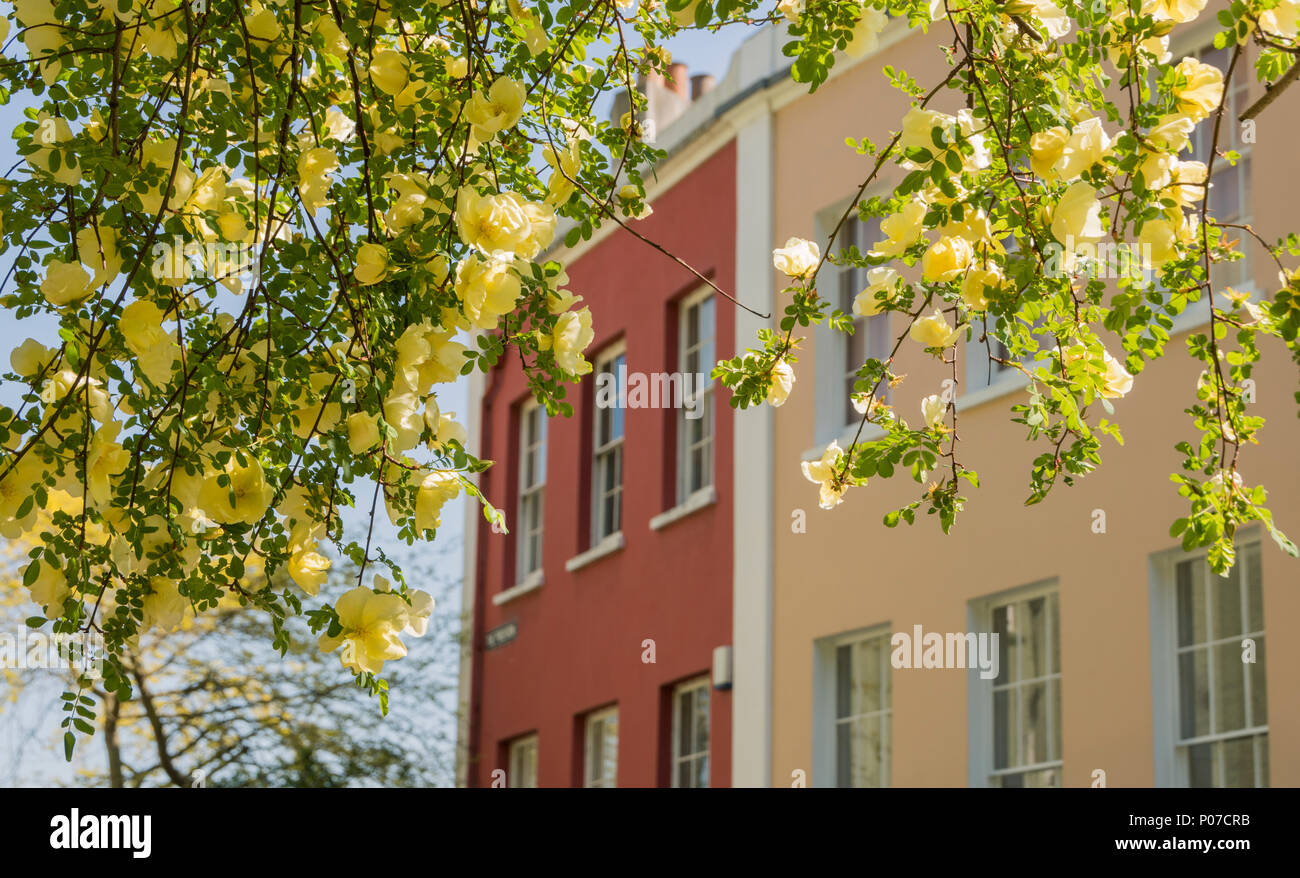 Il poligono in Cliftonwood, Bristol, Regno Unito, un terrazzamento di epoca Georgiana con un giardino condominiale. Foto Stock