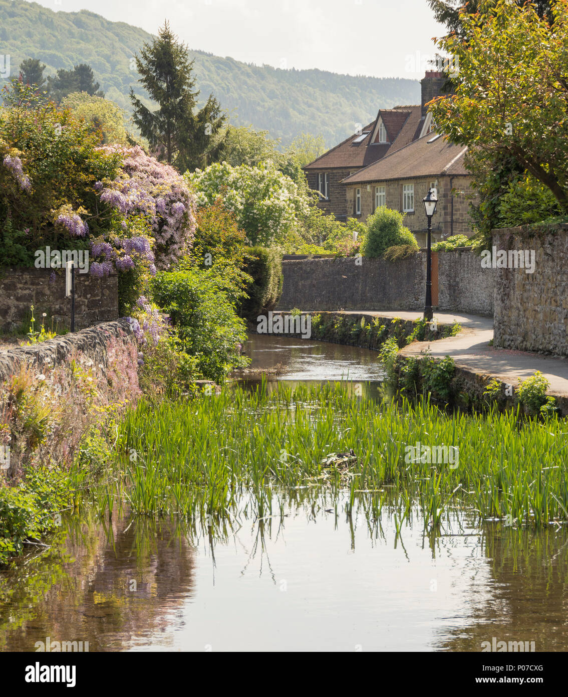 Waterside a piedi lungo un affluente del fiume Wye in Bakewell, Derbyshire, Inghilterra Foto Stock