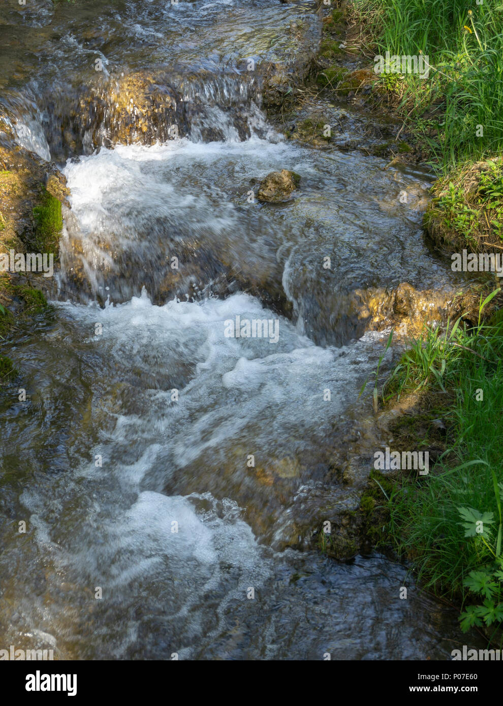 Big Hill molle Alberta Canada Foto Stock