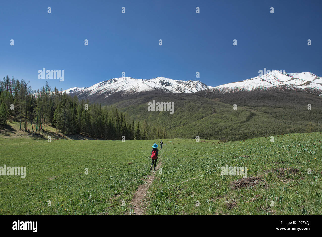 Trekking nel nord del deserto, Kanas Lake National Park, Xinjiang, Cina Foto Stock