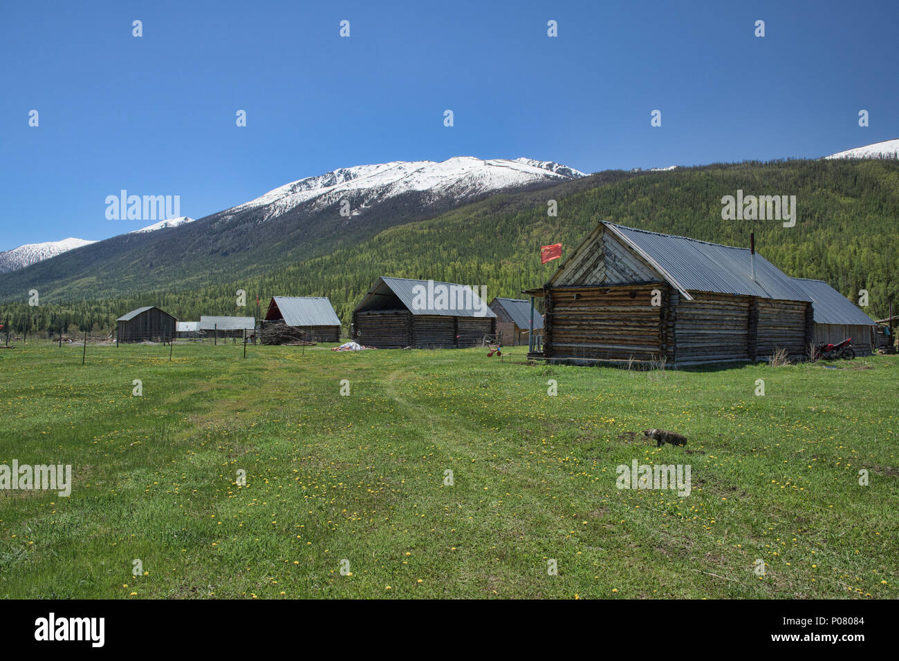 Idilliaco villaggio Tuvan, Kanas Lake National Park, Xinjiang, Cina Foto Stock