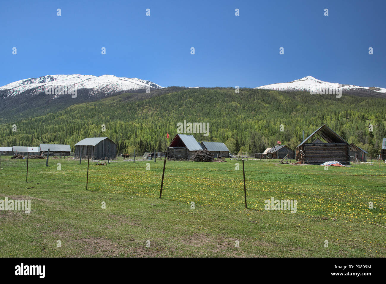 Idilliaco villaggio Tuvan, Kanas Lake National Park, Xinjiang, Cina Foto Stock