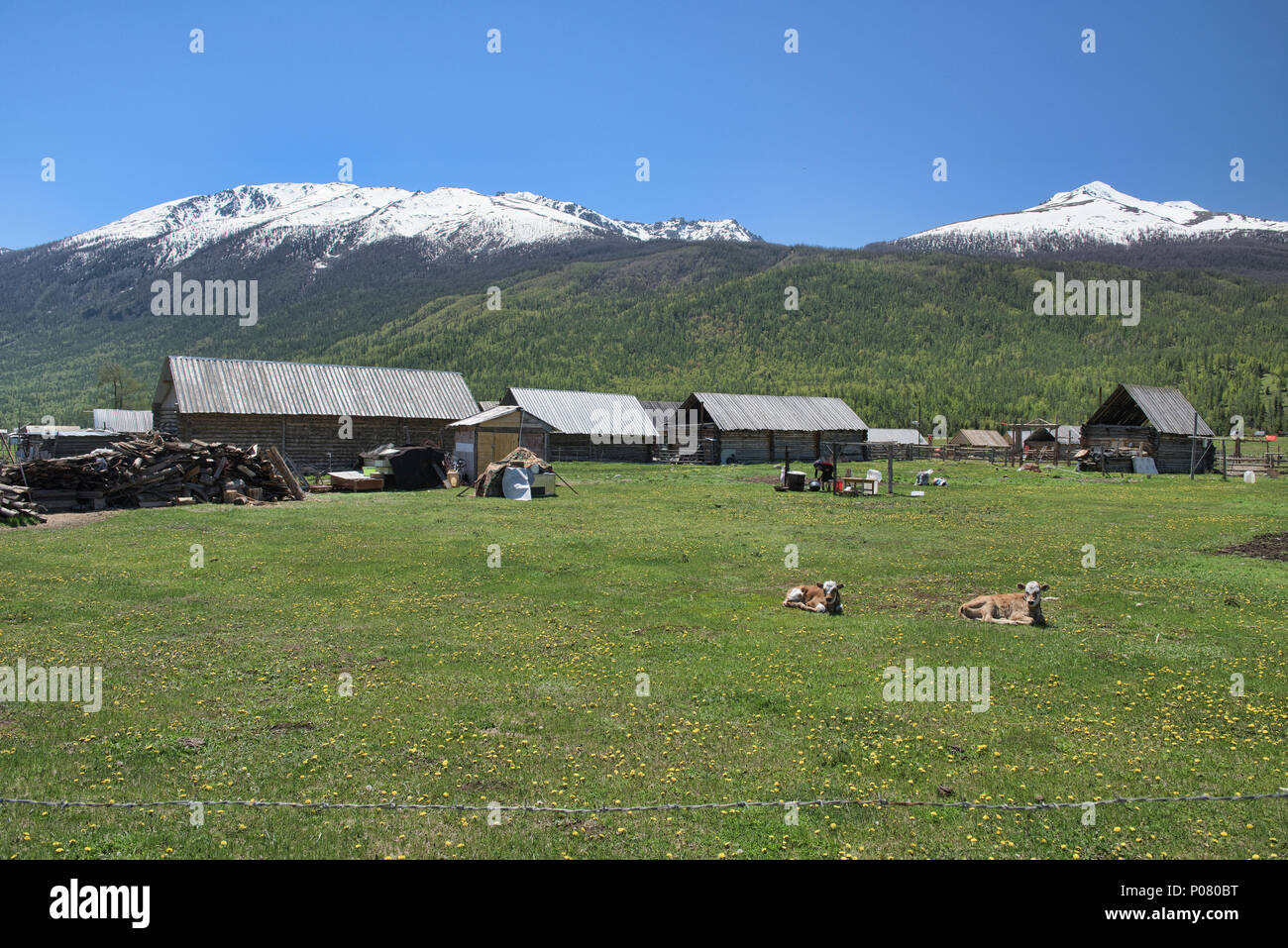 Idilliaco villaggio Tuvan, Kanas Lake National Park, Xinjiang, Cina Foto Stock