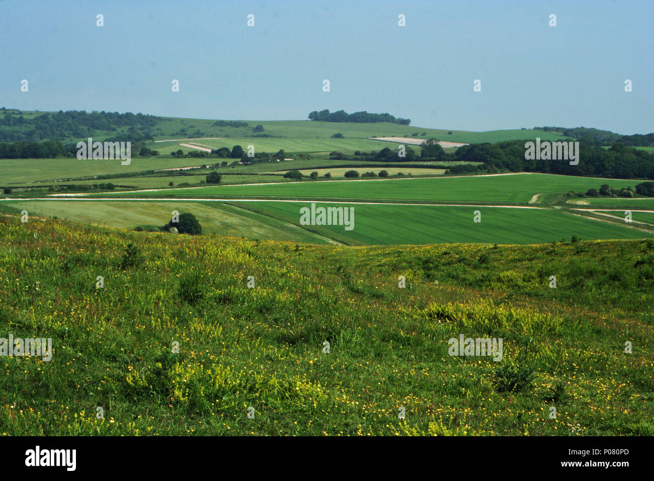 Anello Cissbury, West Sussex Foto Stock