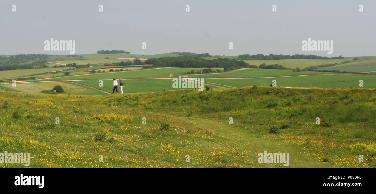 Anello Cissbury, West Sussex Foto Stock