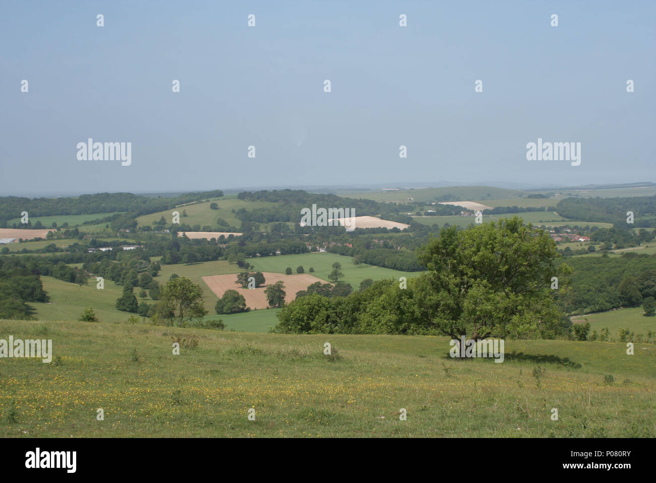 Anello Cissbury, West Sussex Foto Stock