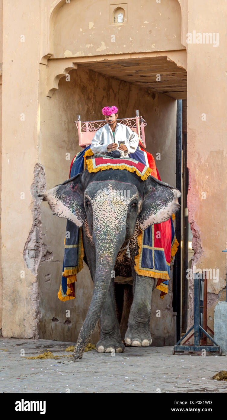 Elefante conducente(Mahout) ed Elephant presso il sito Patrimonio Mondiale dell'Unesco del centro storico Forte Amber in Amer, Jaipur, India Foto Stock