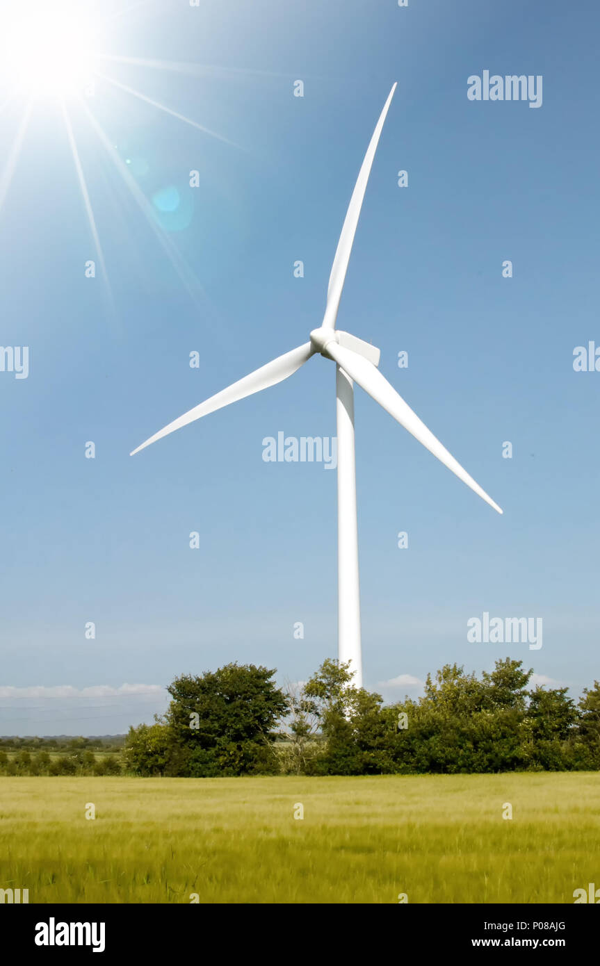 Abstract rete digitale illustrazione Foto Stock