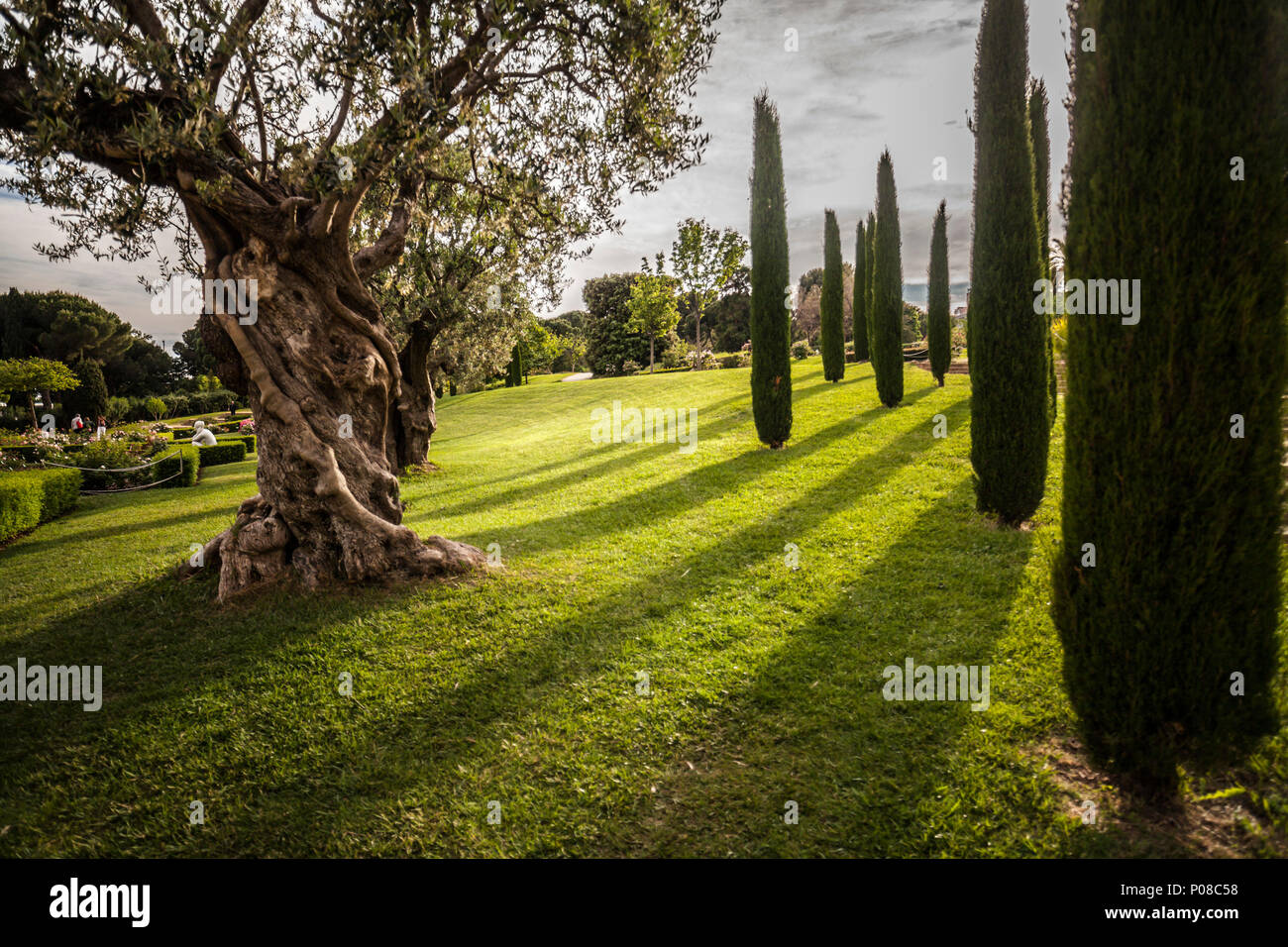 Giardino di Cervantes, il giardino di rose di Les Corts distretto di Barcellona,Spagna. Foto Stock