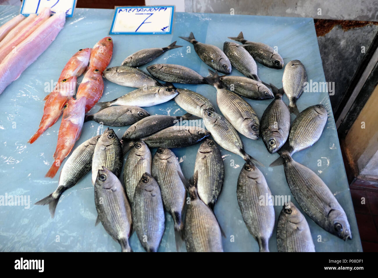 Tradizionale mercato del pesce a Corfù città (Corfu) in Grecia. diverse specie di pesci mediterranei in vendita. Foto Stock