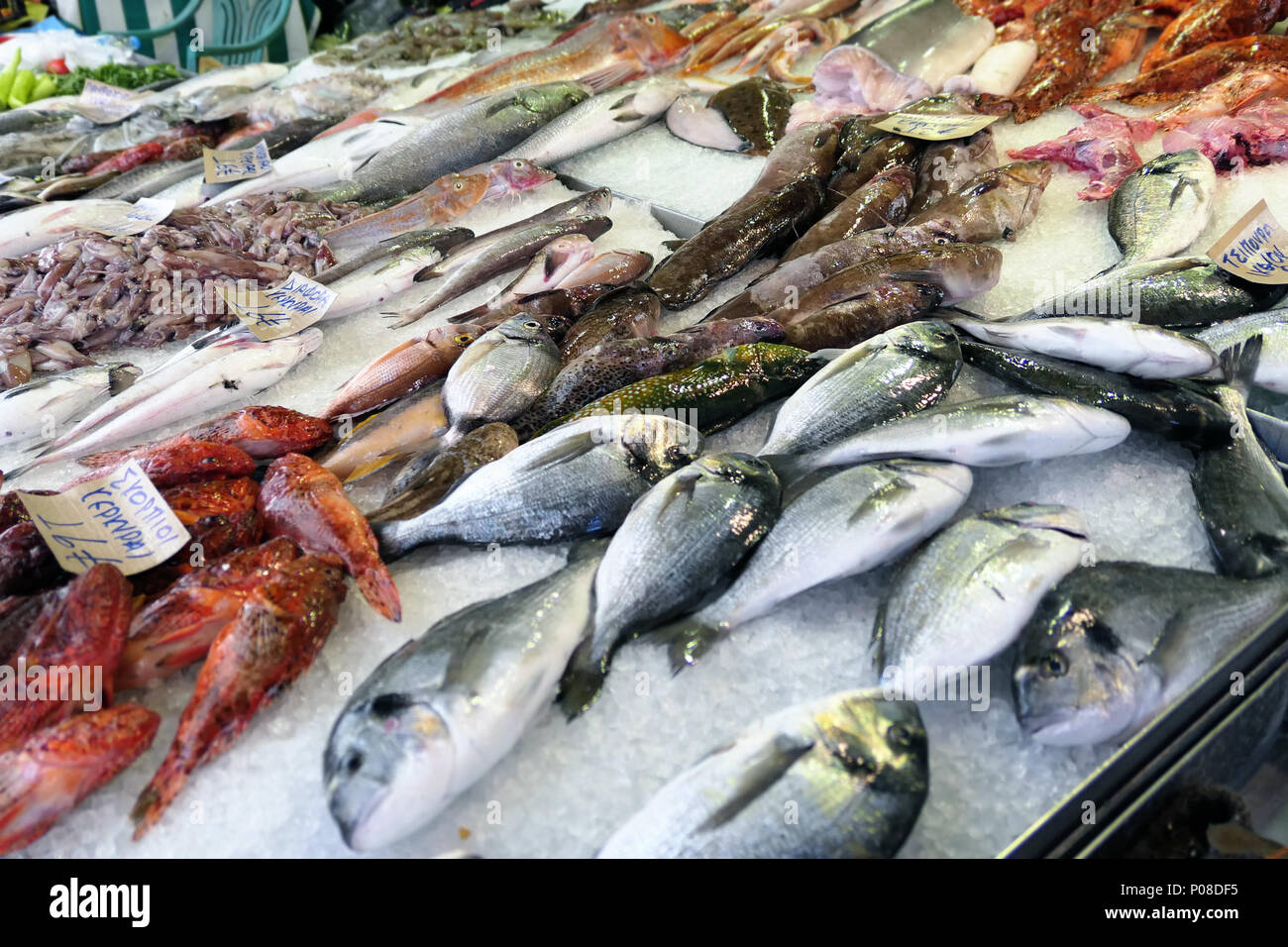 Tradizionale mercato del pesce a Corfù città (Corfu) in Grecia. diverse specie di pesci mediterranei in vendita. Foto Stock