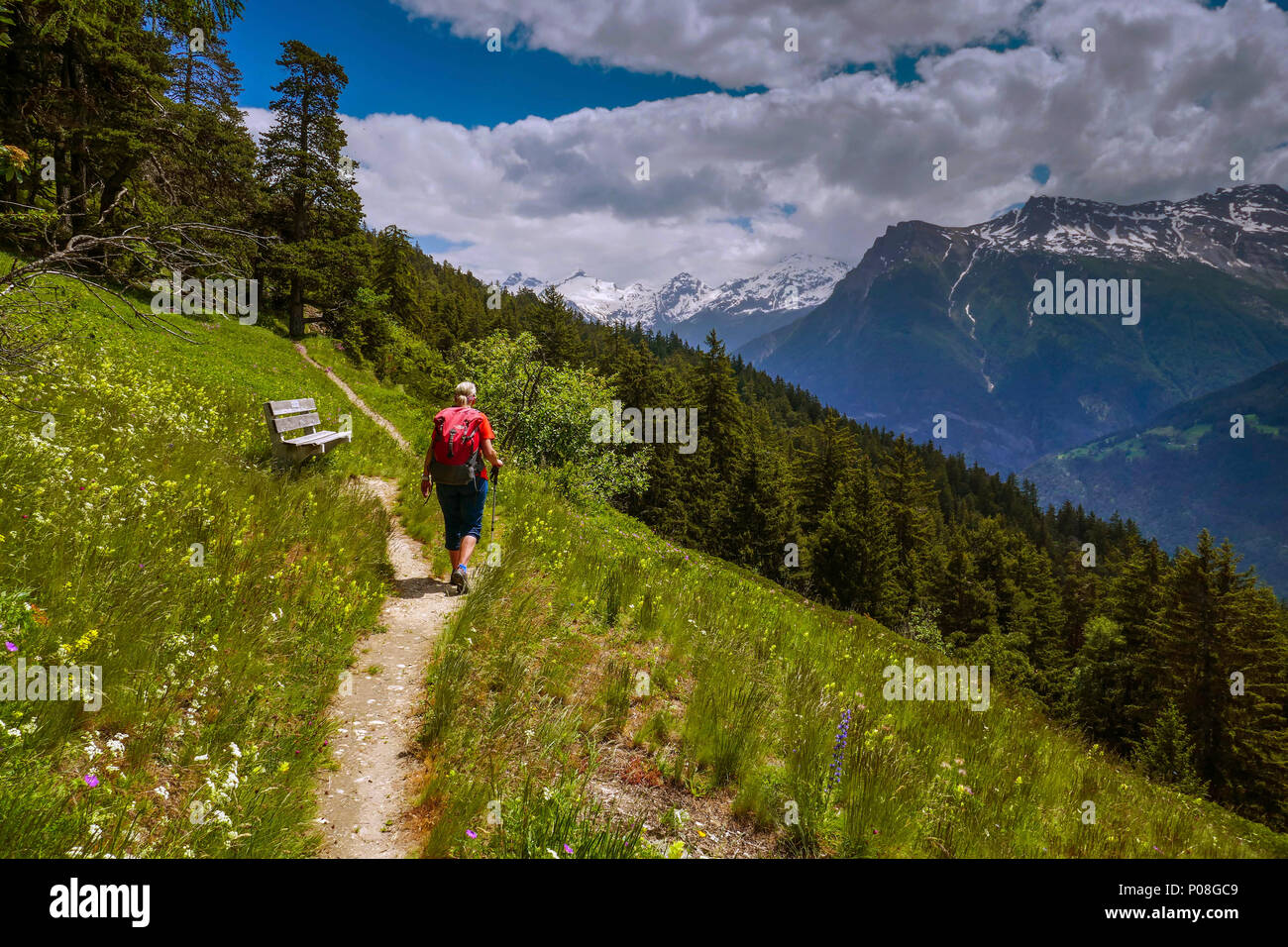 Femmina con walker red zaino camminando attraverso il prato di fiori al di sopra di Brig, Svizzera, Foto Stock