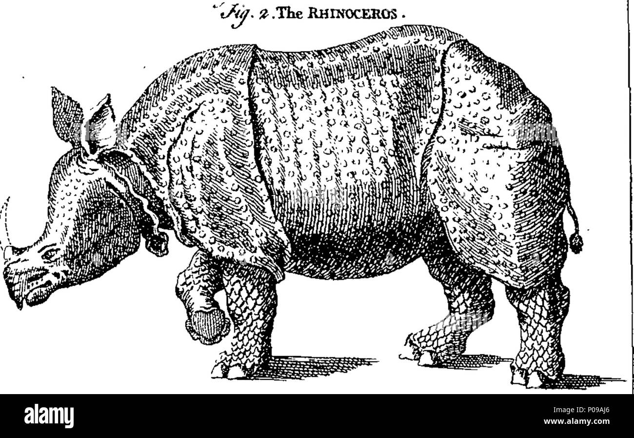 . Inglese: Fleuron dal libro: un nuovo e completo dizionario delle arti e delle scienze; comprendere tutti i rami delle conoscenze utili, con descrizioni accurate nonché delle varie macchine, strumenti, strumenti, Figure e schemi necessari per illustrare loro come delle classi, tipi, preparazioni e usi di produzioni naturali, se gli animali, vegetali, minerali, fossili, o fluidi; insieme con i regni, province, città, e altri posti notevoli in tutto il mondo. Illustrato con più di trecento rame-piastre, curiosamente incisi dal sig. Jefferys, Geograph Foto Stock