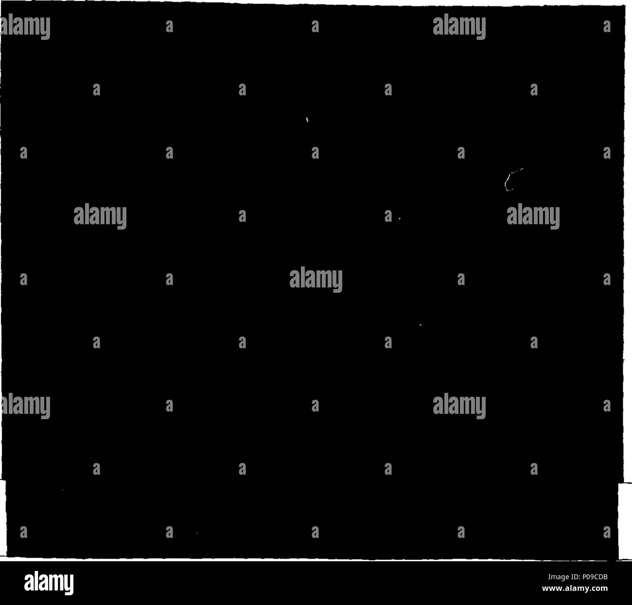 . Inglese: Fleuron dal libro: una nuova raccolta di pezzi di camino, decorato nello stile degli Etruschi, Greci e architettura romana; contenente trenta sei modelli, adatto per la maggior parte elegante gamma di appartamenti; con descrizioni delle piastre in francese e in inglese. Composto attaccato e incisi in aquatinta da George Richardson, architetto. = Nouveau Recueil de cheminées Ornees dans le Stile De L'architettura, Etrusque Grecque, & Romaine, Contenant Trente sei Desseins, Sortables aux appartements les plus eleganti; avec les descrizioni des Planches en Anglois & en François. Composés & g Foto Stock