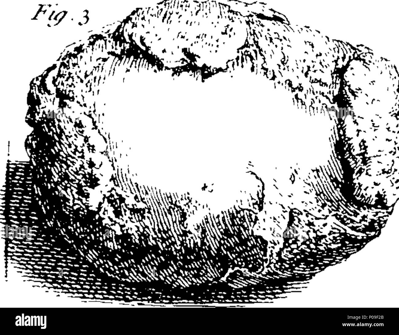 . Inglese: Fleuron dal libro: un conto di alcuni esperimenti e osservazioni sulla sig.ra Stephens di medicinali per la dissoluzione della pietra: in cui il loro potere di dissoluzione è inquir'd e mostrato. Da Stephen Hales, D.D. F.R.S. Rettore di Faringdon, Hampshire; e ministro di Teddington, Middlesex. A cui si aggiunge un supplemento per un pamphlet, intitled, una vista di presentare elementi di prova a favore e contro la sig.ra Stephens di medicinali, &c. Essendo una raccolta di alcune indicazioni relative alla scoperta di questi medicinali, alla loro pubblicazione, l'uso e l'efficacia. Da David Hartley, M.A. F.R.S. 288 Un account di s Foto Stock