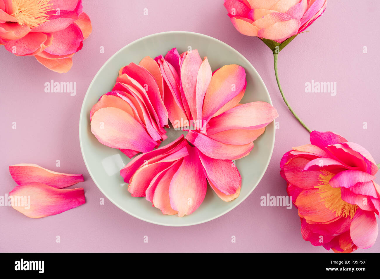 Fiori di carta crespa immagini e fotografie stock ad alta risoluzione -  Alamy