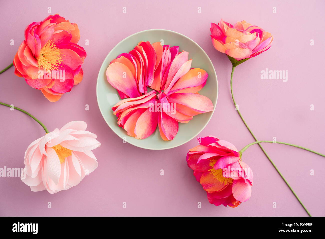Fatte a mano e tinti a mano carta crespa peonia fiori con carta crespa petali di fiori in soluzione satura di colore arancione e rosa colori di giallo su sfondo rosa Foto Stock
