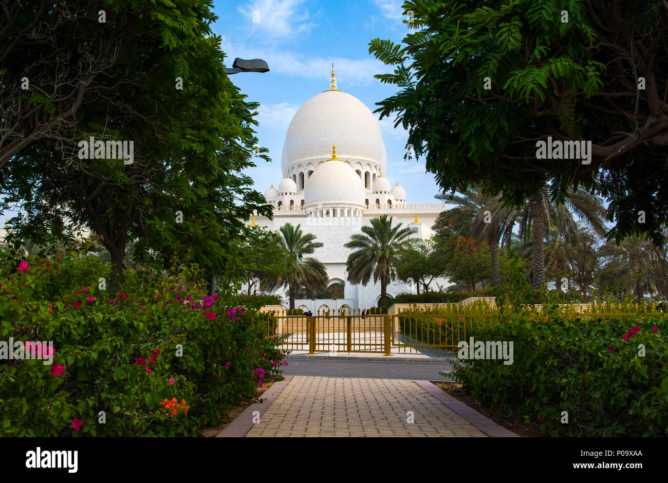 Vista posteriore della Grande Moschea di Abu Dhabi tra gli alberi Foto Stock