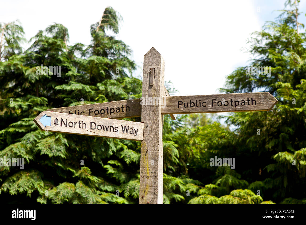 North Downs pubblico modo percorso a piedi cartello in legno post in Vicolo del paese vicino a Guildford Surrey Foto Stock