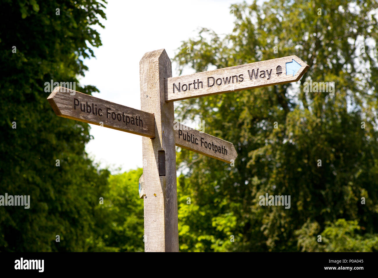 North Downs pubblico modo percorso a piedi cartello in legno post in Vicolo del paese vicino a Guildford Surrey Foto Stock