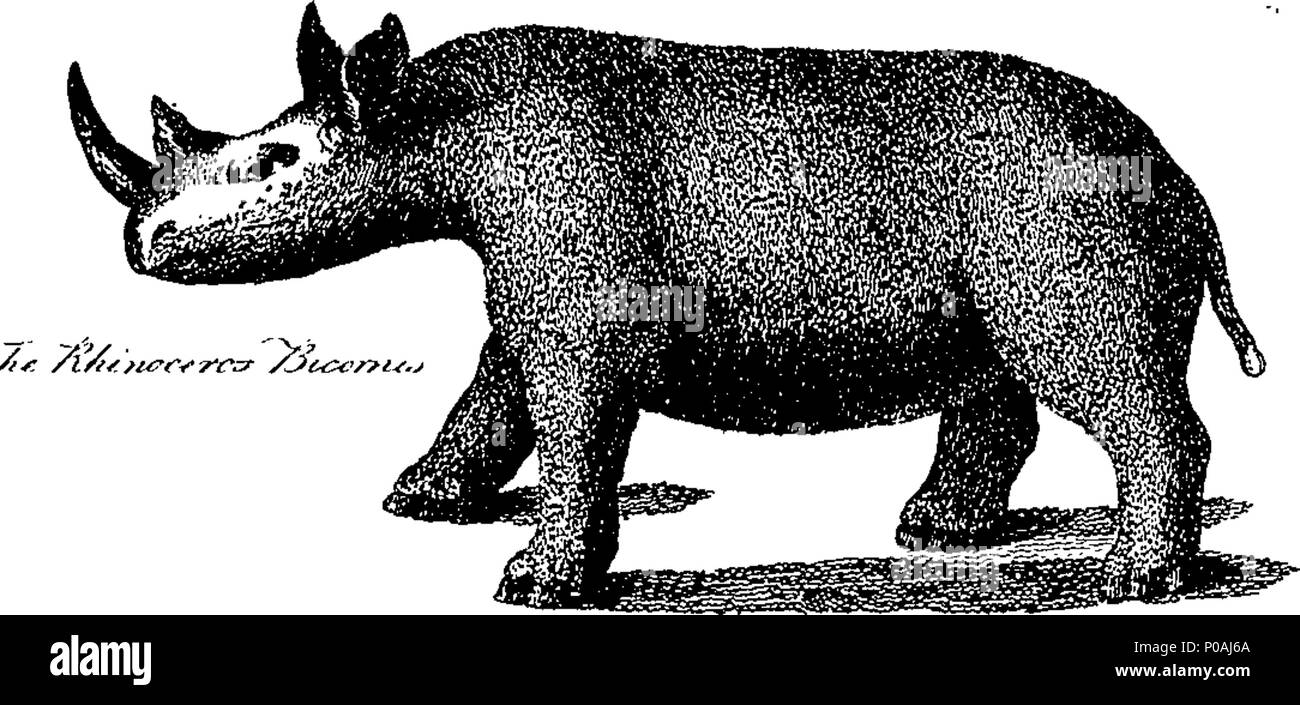 . Inglese: Fleuron dal libro: un nuovo sistema di geografia: o, una descrizione generale del mondo. ... Abbellito con una nuova e accurata insieme di mappe, ... e una grande varietà di cavi in rame-piastre, ... Dal compianto D. Fenning e J. Collyer. Una nuova edizione riveduta e ampliata e migliorata da Frederick Hervey, Esq; ... Il conto del Nord America ... corretti dal capitano Carver, ... 159 Un nuovo sistema di geografia- o una descrizione generale del mondo Fleuron T133334-13 Foto Stock