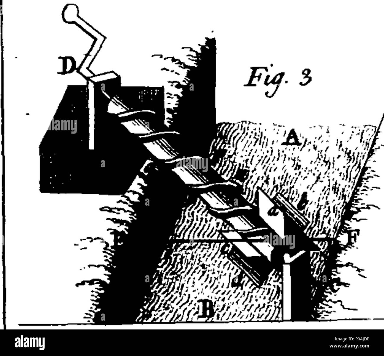 . Inglese: Fleuron dal libro: un nuovo sistema di allevamento pratico. Da John Mills, ... In cinque volumi. 159 Un nuovo sistema di allevamento pratico. Da John Mills, - in cinque volumi. Fleuron T083806-12 Foto Stock