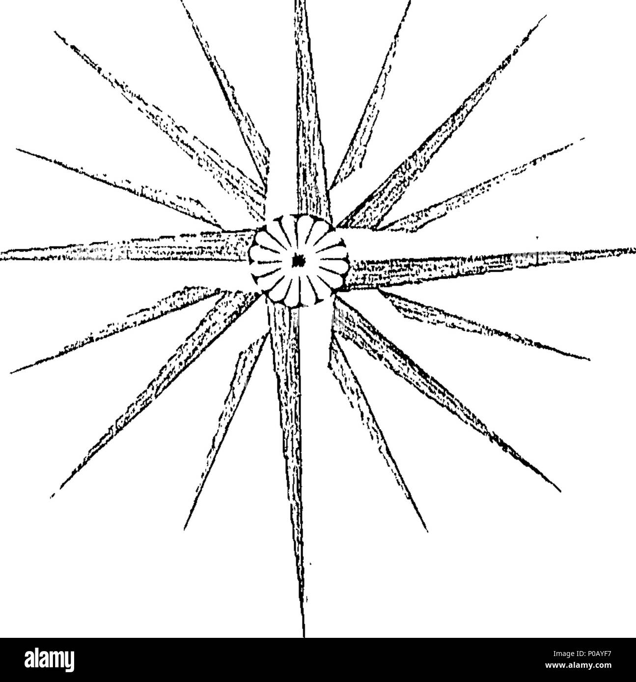 . Inglese: Fleuron dal libro: una nuova mappa della contea di Oxford, da un sondaggio effettivo; ... Di Richard Davis ... Incisi da J. Cary, ... 154 Una nuova mappa della contea di Oxford, da un sondaggio effettivo; - di Richard Davis - incisa da J Fleuron T186876-2 Foto Stock