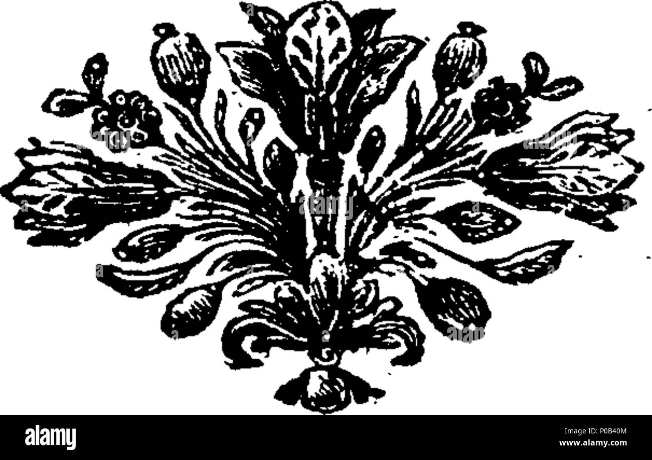 . Inglese: Fleuron dal libro: una parafrasi su tutti e quattro gli Evangelisti. In cui per rendere più chiara la comprensione della storia sacra, tutto il testo e parafrasi sono stampati in colonne separate over-l'uno contro l'altro. Con note critiche in più passaggi difficili. Molto utile per le famiglie. In due volumi. da Samuel Clarke, D. D. tardi rettore di St James Westminster. La nona edizione. ... 165 una parafrasi su tutti e quattro gli Evangelisti Fleuron T170427-13 Foto Stock