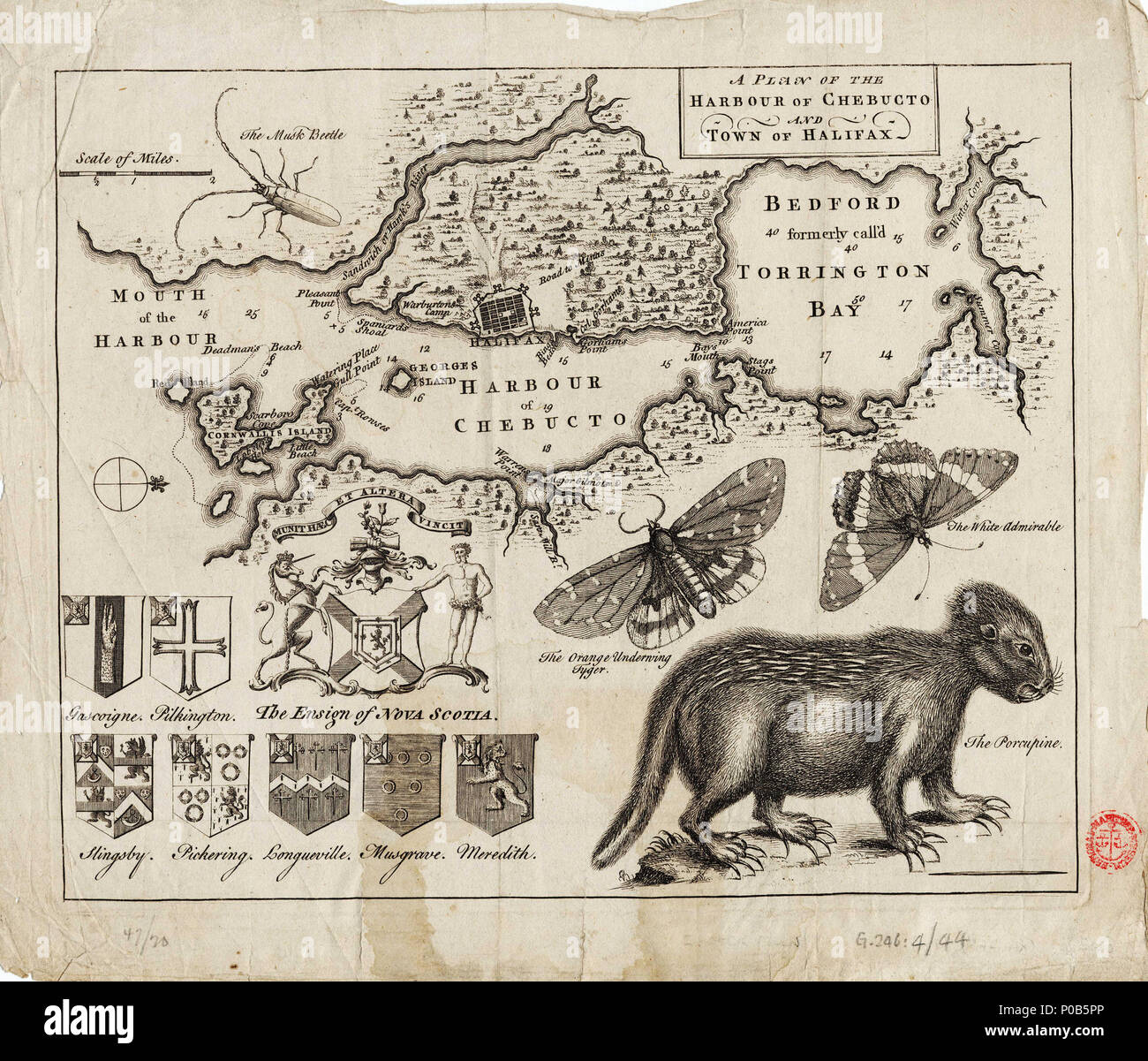 . Inglese: un piano del porto di Chebucto e la città di Halifax singolo foglio. Engr. Scala: [ca.1:90 000]. Nota cartografica: Ungraduated. A nord di 90 gradi. Alcuni punti di scandaglio. Scala in miglia. Ulteriori luoghi: Chedabucto. Contenuto Nota: le illustrazioni di un porcospino e insetti. Alfiere della Nova Scotia. Famiglia di stemmi. G246:4/44 Chebucto & Halifax . circa 1780. Anonimo 171 un piano del porto di Chebucto e la città di Halifax RMG F0069 Foto Stock