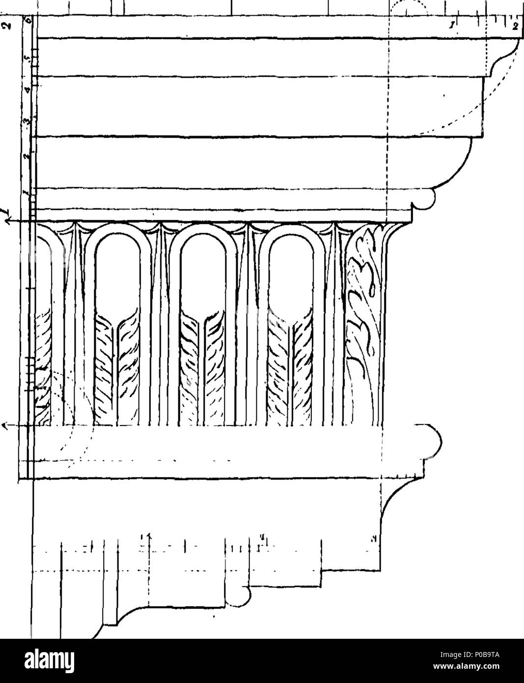 Inglese Fleuron Dal Libro Una Proposta Per Un Nuovo Ordine In Architettura Con Regole Per Disegnare