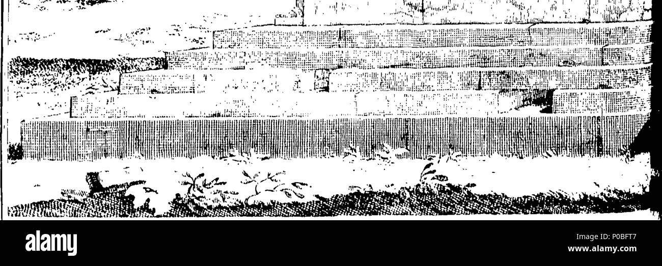 . Inglese: Fleuron dal libro: un piano di civile e architettura storica, nella rappresentazione dei più noti edifici di nazioni straniere, sia antichi che moderni: presi dalla maggior parte Approv'd storici, medaglie originale, notevoli resti, e curiosi Authentick disegni; e visualizzare'd in ottantasei folio doppia-piastre, finemente engraven, in corrispondenza di una molto grande oneri, dal più eminente mani; diviso in cinque libri. Contenenti. Prenota I. Twenty-Two piastre degli antichi Ebrei, egiziane, siriane, persiano e Grecian Edifici, monumenti, piramidi, &c. in cui i modi di struttura utilizzata da tho Foto Stock . Inglese: Fleuron dal libro: un piano di civile e architettura storica, nella rappresentazione dei più noti edifici di nazioni straniere, sia antichi che moderni: presi dalla maggior parte Approv'd storici, medaglie originale, notevoli resti, e curiosi Authentick disegni; e visualizzare'd in ottantasei folio doppia-piastre, finemente engraven, in corrispondenza di una molto grande oneri, dal più eminente mani; diviso in cinque libri. Contenenti. Prenota I. Twenty-Two piastre degli antichi Ebrei, egiziane, siriane, persiano e Grecian Edifici, monumenti, piramidi, &c. in cui i modi di struttura utilizzata da tho Foto Stock