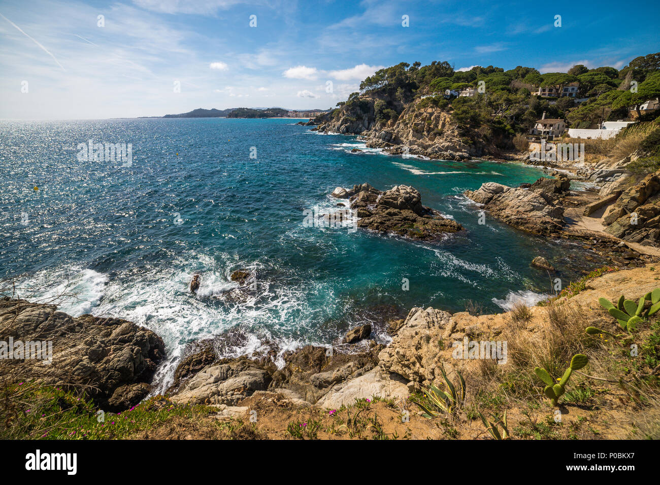 Lloret de mar Costa esotici della Costa Brava Catalogna Foto Stock