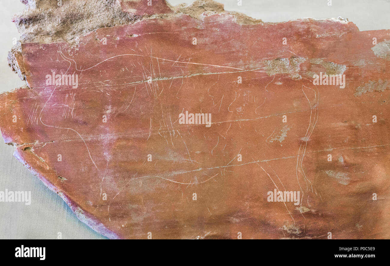 Rock incisione di un toro da Magdalenian periodo. Molino Manzanez sito, ora sotto le acque della zona di Alqueva serbatoio, Cheles, Spagna Foto Stock