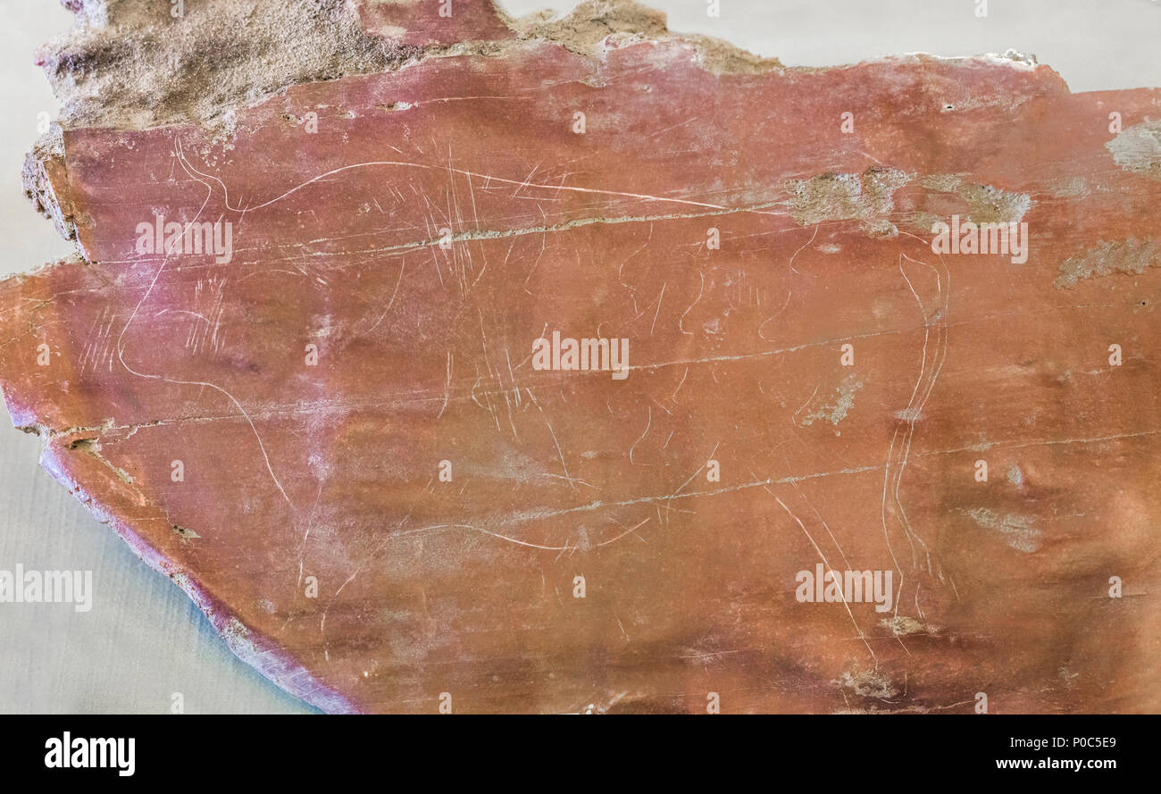 Rock incisione di un toro da Magdalenian periodo. Molino Manzanez sito, ora sotto le acque della zona di Alqueva serbatoio, Cheles, Spagna Foto Stock