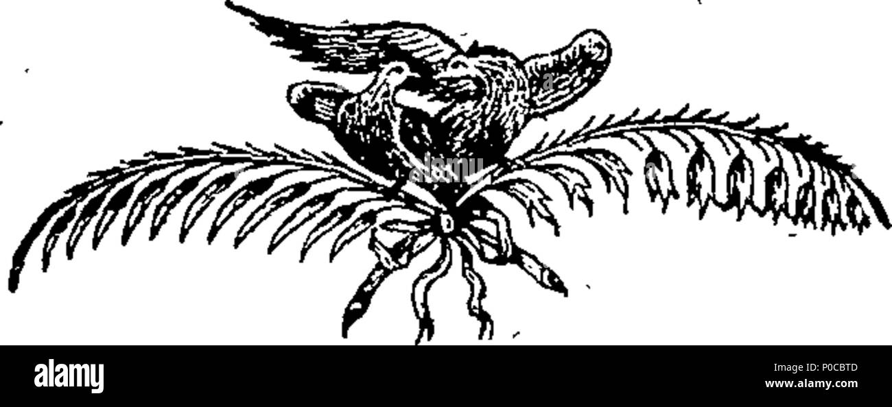 . Inglese: Fleuron dal libro: una selezione di preferiti le catture, glees, &c. come canta presso la società armonica, nella città di Bath. Con le regole della società e un elenco dei membri. 189 una selezione di preferiti le catture, glees, etc Fleuron T090829-2 Foto Stock