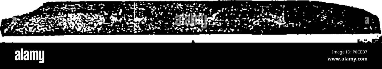 . Inglese: Fleuron dal libro: un sermone predicare'd prima i signori spirituale e temporale in Parlamento, assemblati presso la Collegiata di San Pietro Westminster, lunedì 30 gennaio 1720-21. Essendo l'anniversario del martirio del Re Carlo il primo. Da Benjamin, Signore Vescovo di Bangor. 193 un sermone predicare'd prima i signori spirituale e temporale in Parlamento, assemblati presso la Collegiata di San Fleuron T018302-3 Foto Stock