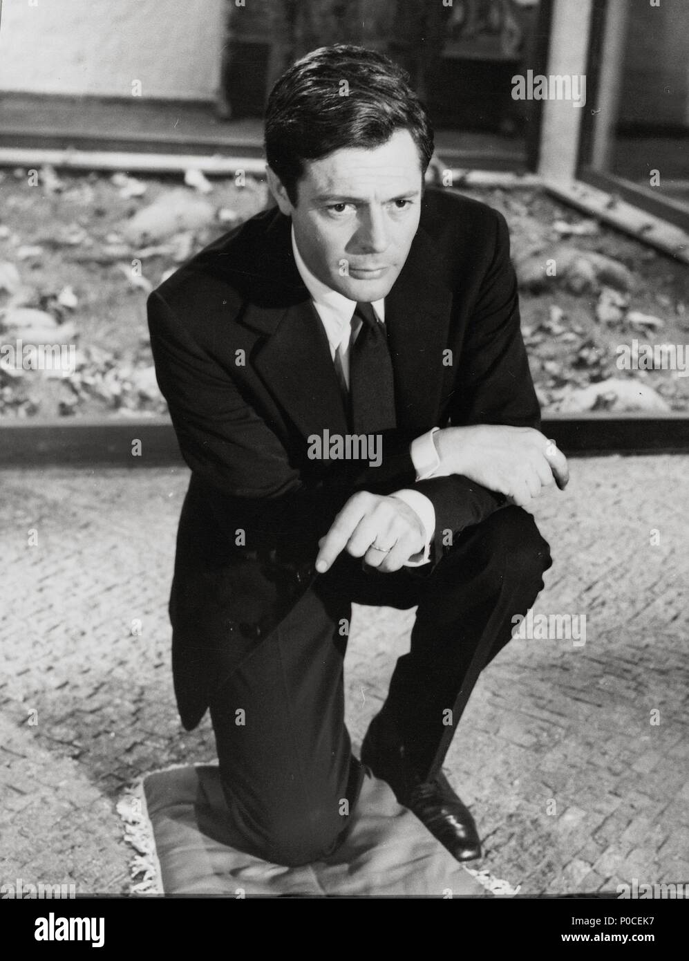 Stelle: MARCELLO MASTROIANNI. Foto Stock