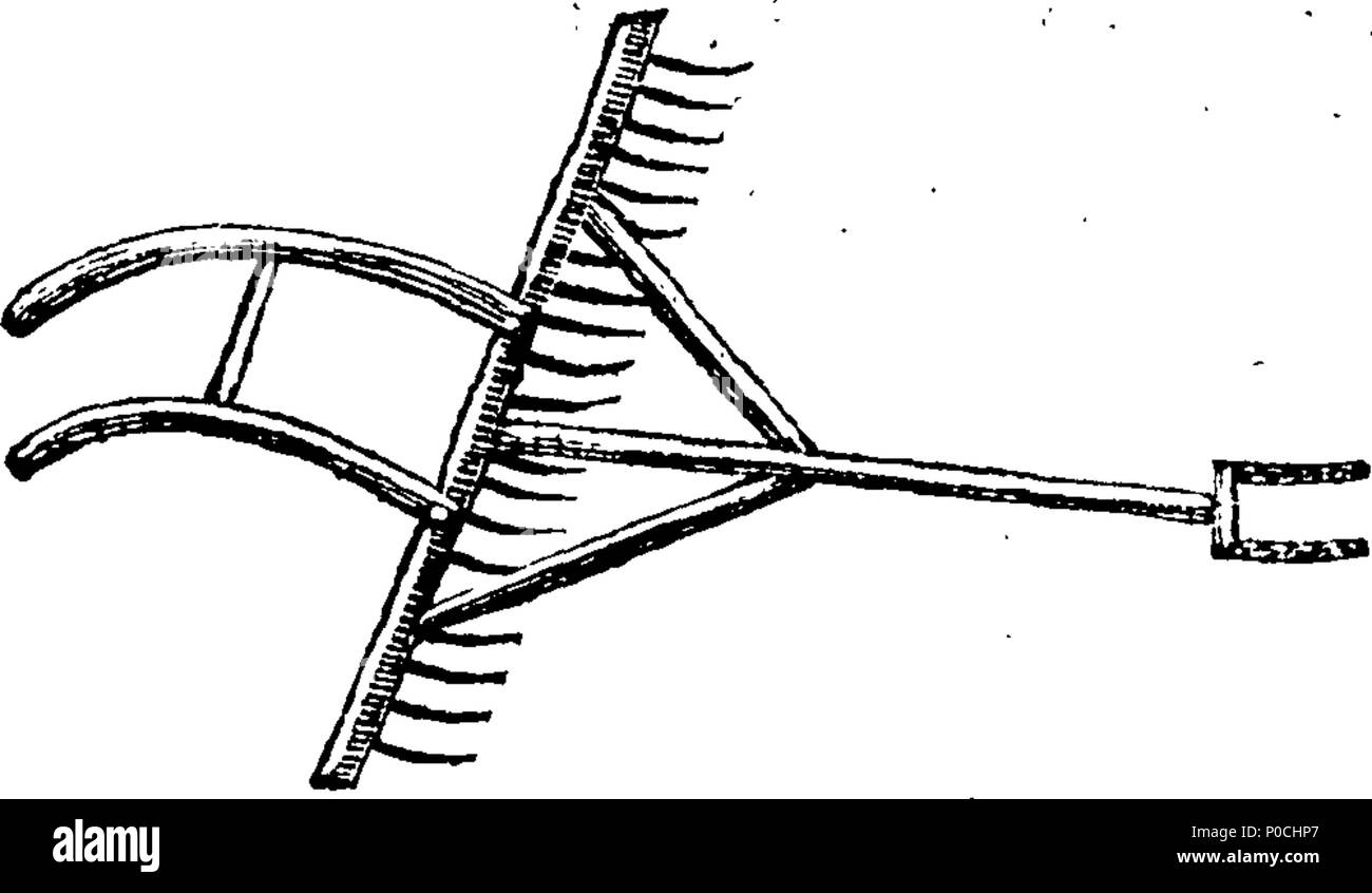 . Inglese: Fleuron dal libro: A sei settimane gita attraverso le contee del sud dell Inghilterra e del Galles. Descrivere, particolarmente, I. Il presente stato di agricoltura e produce. II. I diversi metodi di coltivazione del terreno. III. Il successo frequentare alcuni esperimenti in ritardo su varie erbe, &c. IV. I vari prezzi di manodopera e disposizioni. V. Lo stato dei poveri che lavorano in quei paesi in cui i disordini sono stati più notevoli. Con le descrizioni e modelli di tale nuovo Inventati implementa della zootecnia come meritano di essere generalmente noto: intervallati con gli account delle sedi del Foto Stock