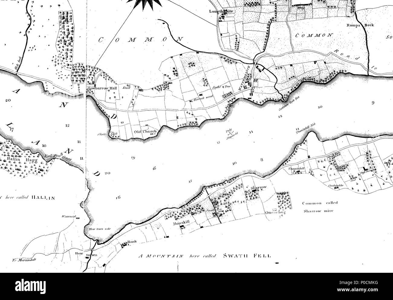 . Inglese: Fleuron dal libro: un sondaggio dei laghi di Cumberland, Westmorland e Lancashire: insieme con un account, storico topografico, e descrittivo, del paese adiacente. A cui si aggiunge un schizzo di confine leggi e costumi. Da James Clarke, Land-Surveyor. 216 Un sondaggio dei laghi di Cumberland Fleuron T117421-26 Foto Stock
