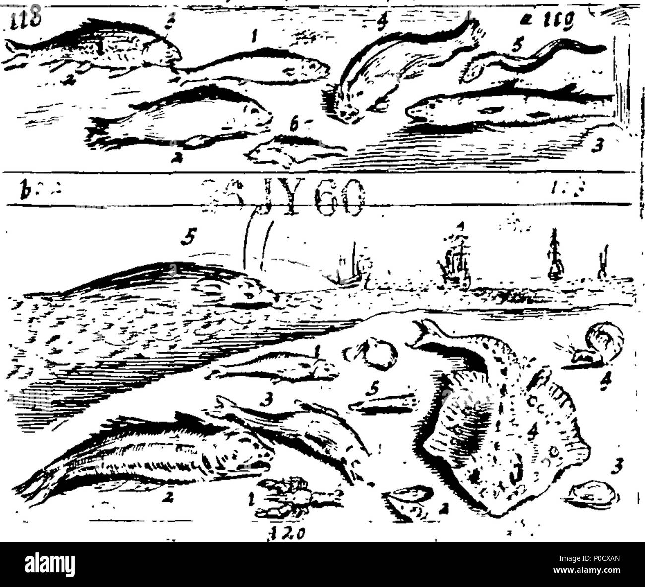 . Inglese: Fleuron dal libro: un breve e metodo easie per dare ai bambini un'idea o una vera nozione di celeste e terrestre : esseri e di insegnare loro i nomi della maggior parte delle cose che sono utili e necessarie per la vita umana: come anche, delle Arti e delle Scienze, piante, frutti e creature viventi; come pesci, uccelli e bestie Four-Footed: francese e inglese. Rappresentato da molte centinaia di figure in 38 piastre di rame, adatta per coloro che sono desiderosi di imparare le lingue. = Methode courte & facile pour donner aux enfans une idée des choses celestes & terrestres : Et pour leurs apprendre le Nom & L'usage Foto Stock