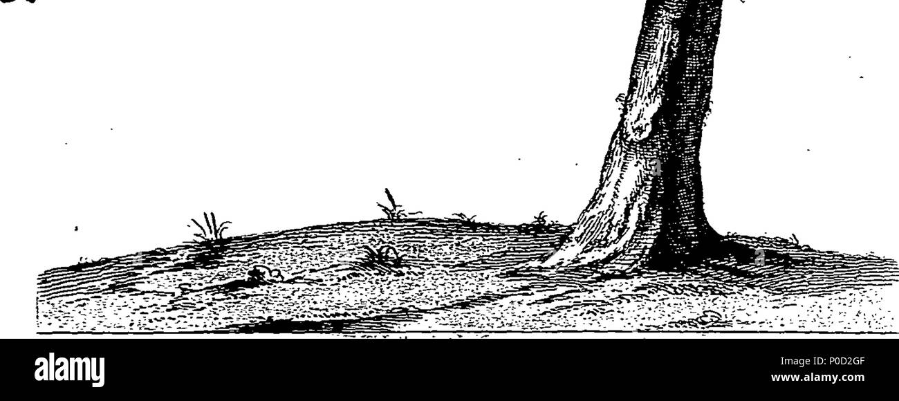 . Inglese: Fleuron dal libro: un supplemento alla storia naturale degli uccelli. Illustrata con un centinaio e una delle piastre di rame, curiosamente engraven dalla vita; e esattamente il colore'd dall'autore, Eleazar Albin. Essendo il terzo e ultimo volume. 213 un supplemento alla storia naturale degli uccelli Fleuron n024745-32 Foto Stock