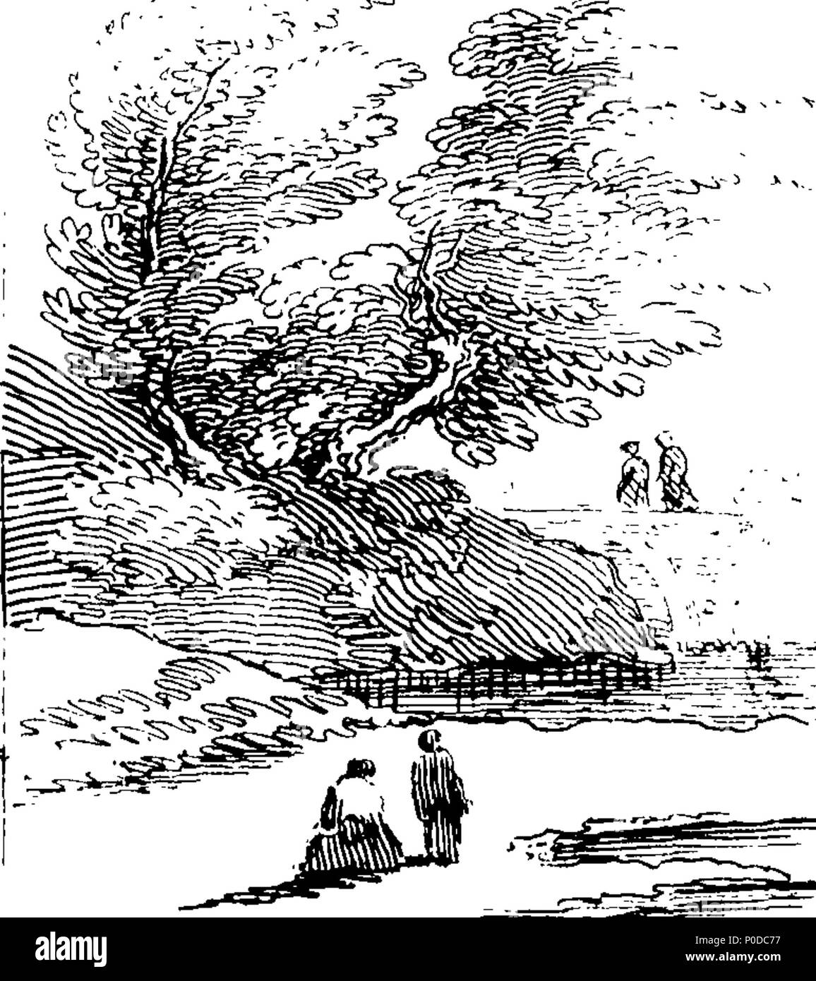 Schizzi grande bottino