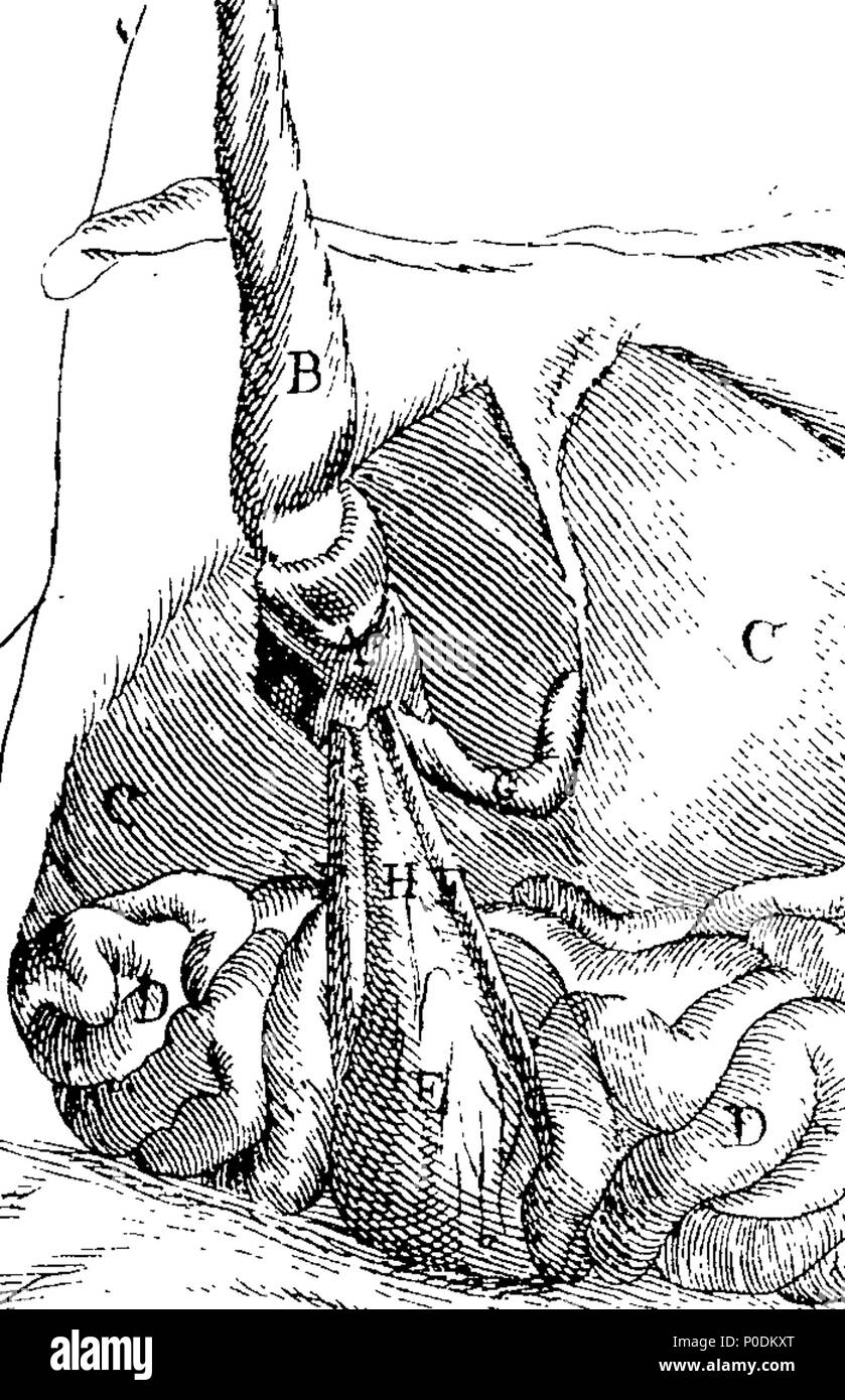 . Inglese: Fleuron dal libro: un sistema di tabelle di ostetricia, con spiegazioni; che rappresentano le basi della teoria e della pratica di ostetricia. Da John Aitken, M. D. Fellow della Royal College of Surgeons, membro della Royal Medical, fisica e antiquario società, uno dei chirurghi del Royal Infirmary, docente all'anatomia, chirurgia e ostetricia e Presidente Onorario della Società Chirurco-Obstetrical di Edimburgo. Per l'uso degli studenti. 218 un sistema di tabelle di ostetricia, con spiegazioni; che rappresentano le basi della teoria e della pratica di ostetricia Fleuron N Foto Stock