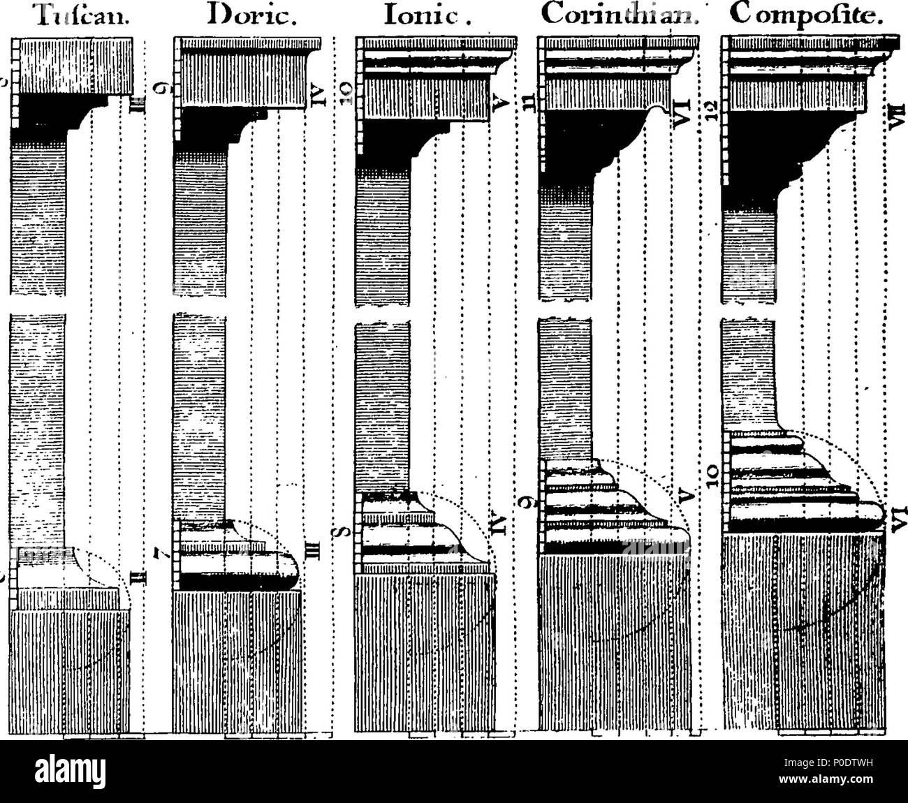 . Inglese: Fleuron dal libro: un trattato di cinque ordini di colonne in architettura, Toscane, dorico, ionico e corinzio e composito. In cui le proporzioni dei caratteri e dei membri delle loro diverse colonnine, colonne e Entablatures, sono distintamente considerare'd rispetto alla pratica della Antients e rinoceronti. Anche una più naturale, Easie e metodo praticabile stabilite per la determinazione della parte mostminute in tutti gli ordini, senza una frazione. Al quale è allegato'd, un discorso concernente lesene: e di numerosi abusi introduc'd in architettura. Engraven su sei piastre folio o Foto Stock