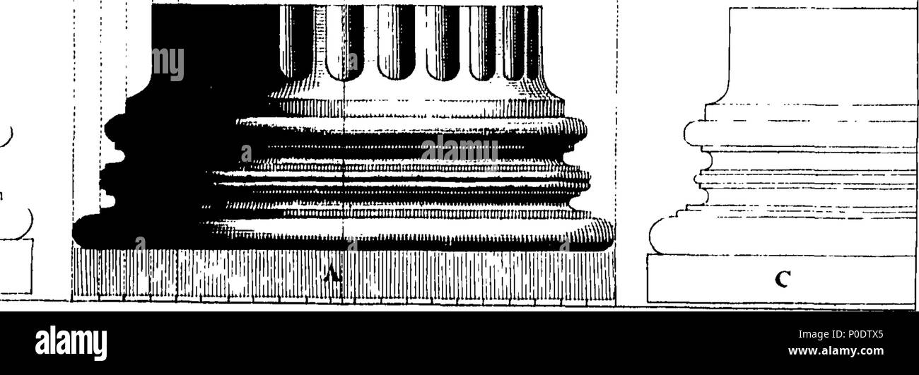 . Inglese: Fleuron dal libro: un trattato di cinque ordini di colonne in architettura, Toscane, dorico, ionico e corinzio e composito. In cui le proporzioni dei caratteri e dei membri delle loro diverse colonnine, colonne e Entablatures, sono distintamente considerare'd rispetto alla pratica della Antients e rinoceronti. Anche una più naturale, Easie e metodo praticabile stabilite per la determinazione della parte mostminute in tutti gli ordini, senza una frazione. Al quale è allegato'd, un discorso concernente lesene: e di numerosi abusi introduc'd in architettura. Engraven su sei piastre folio o Foto Stock