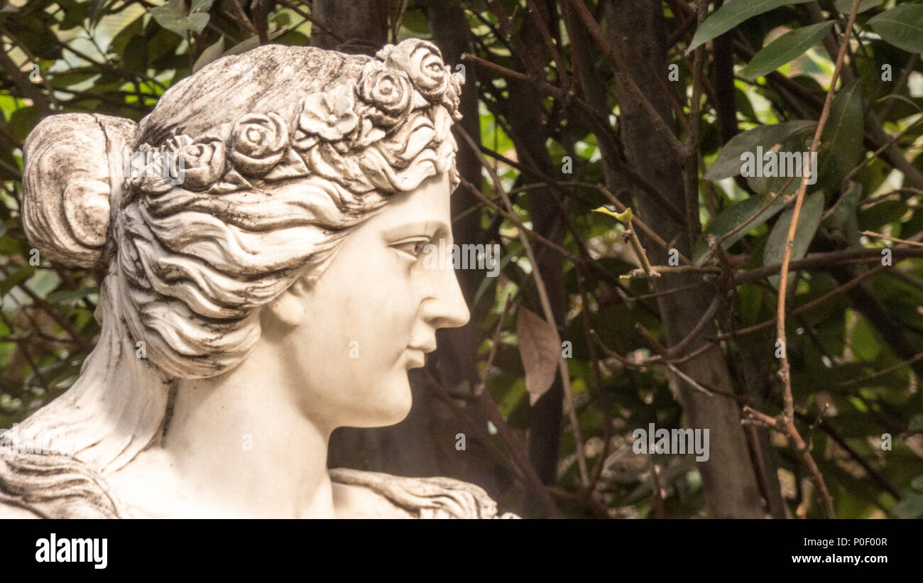 Muse nel Jardin Molino de Inca Foto Stock